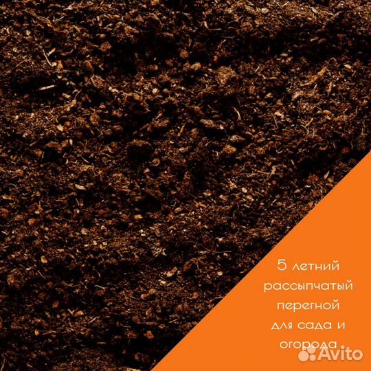 Навоз конский 5 летний