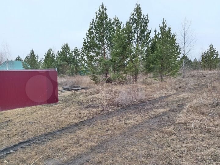 Участок 12 сот. (СНТ, ДНП)