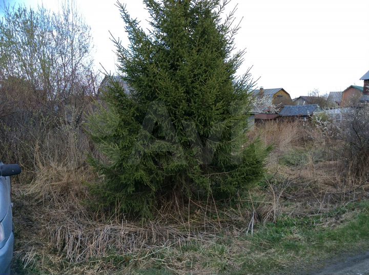 Дача 20 м² на участке 6,5 сот.