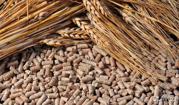 Петто корм куриный Адванс для кур-несушек 35 кг