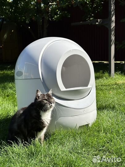 Автоматический лоток для кошек