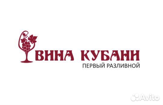 Вино Разливное франшиза