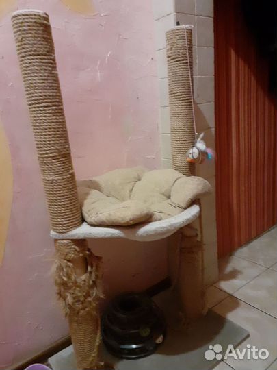 Когтеточка