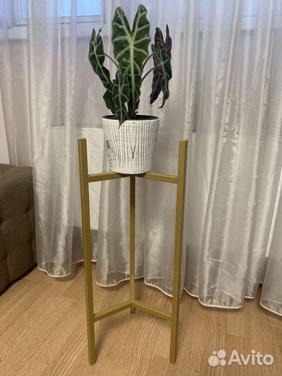 Подставка для цветов/подставка под цветы металл