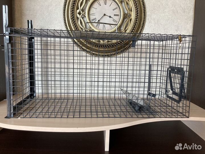 Кошколовка в аренду