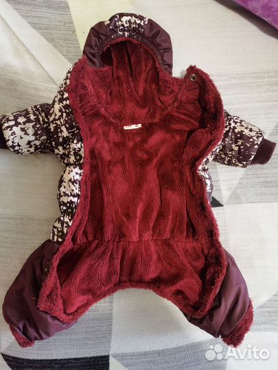 Осенняя куртка для собак мелкий пород