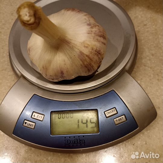 Чеснок Добрыня