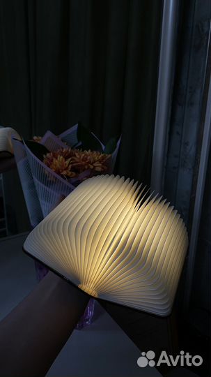 Ночник Книга