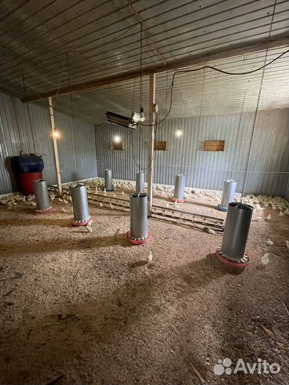 Продам готовый бизнес и усадьбу