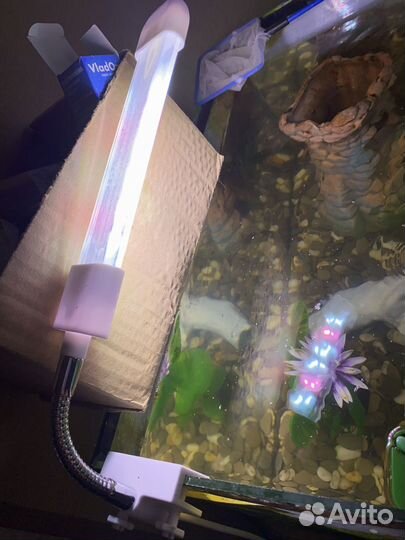 Аквариум + рыбы + декор