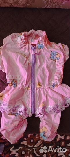 Одежда для собак мелких пород