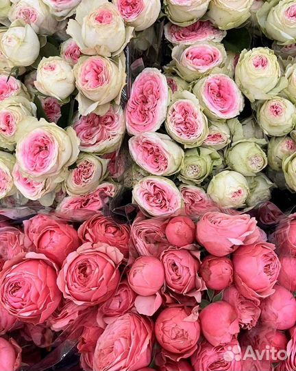 Букеты из свежайшие цветов