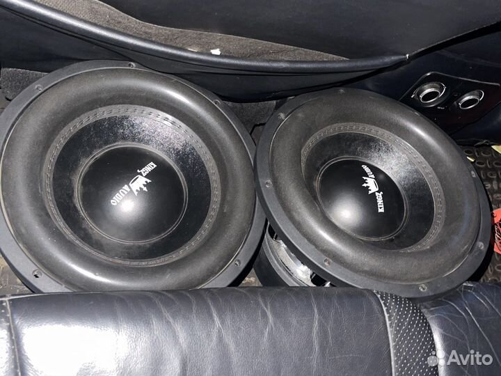Kingz audio tsr x 12
