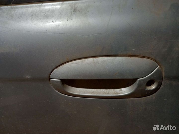 Ручка двери spectra