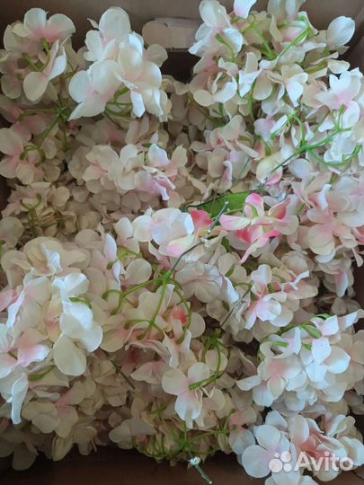 Цветы декоративные