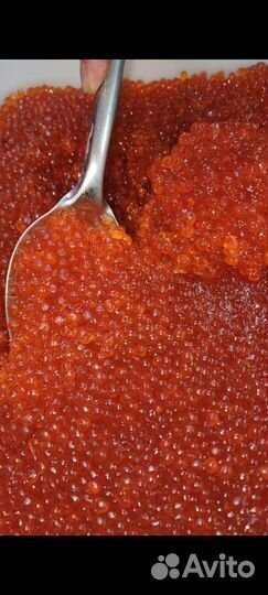 Красная икра горбуши