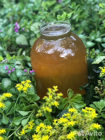 Мед Майский