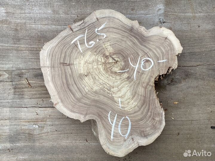 Спилы ореха, клена, карагача