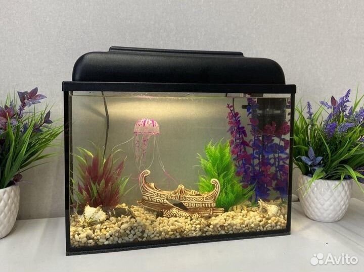 Аквариум с декором