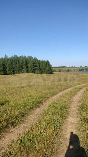 Участок 12,5 сот. (ИЖС)