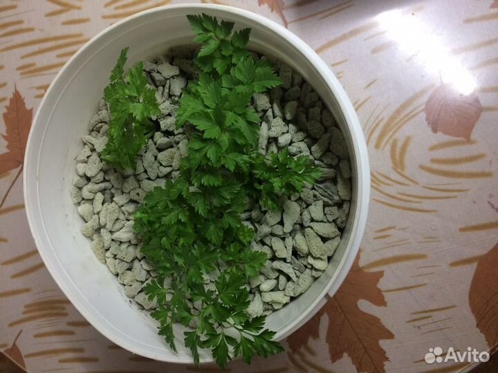 Субстрат GrowPlant