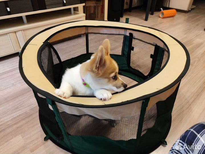 Вольер для щенков