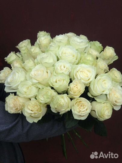 Розы белые 70 см Эквадор
