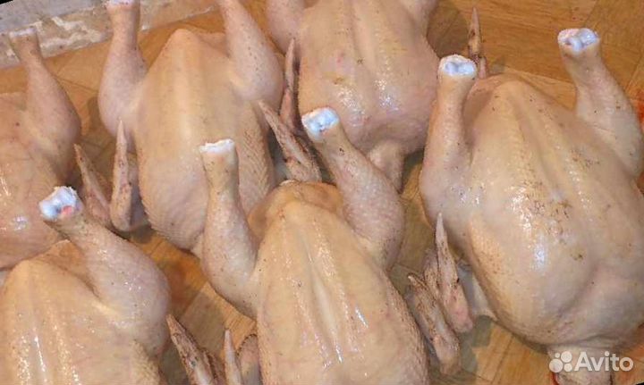 Мясо домашних бройлеров