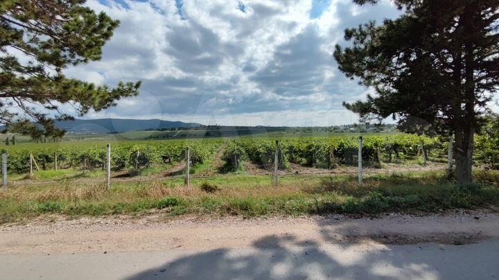 Участок 6,5 сот. (ИЖС)