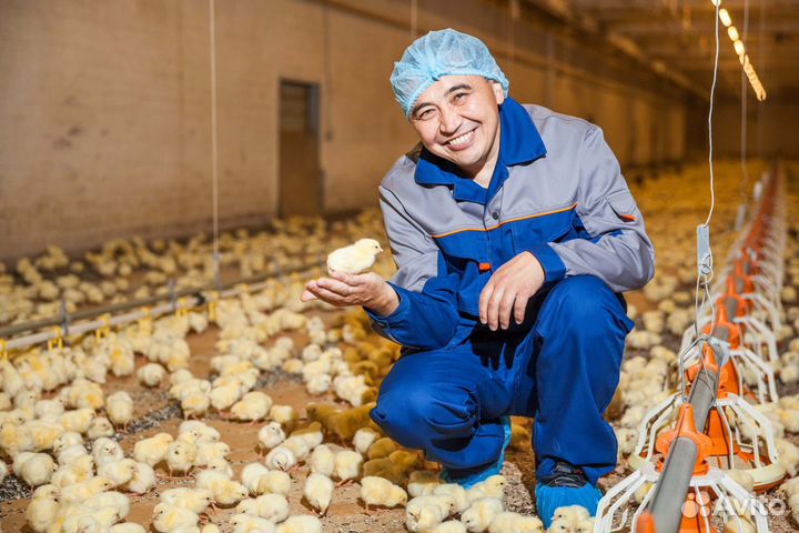 Подработка разнорабочим на вахту