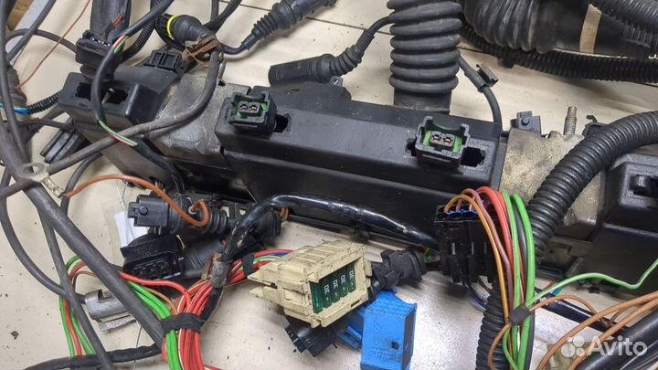 Жгут управления двигателем BMW X5 E53, 2003