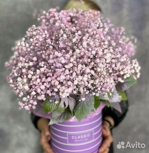 Цветы гипсофилы