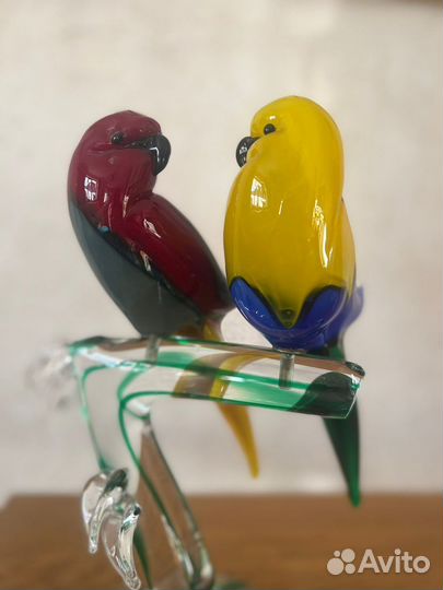 Неразлучники Colorato