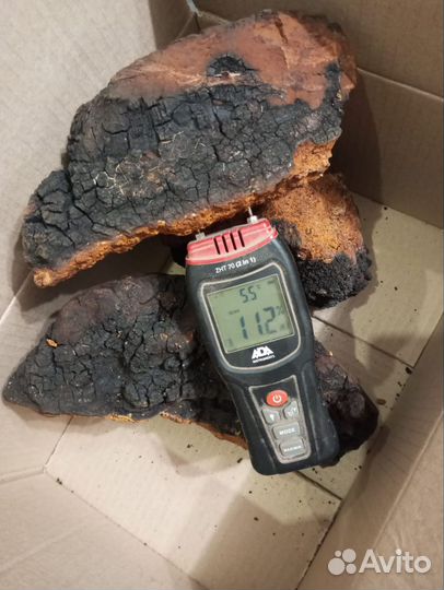 Чага березовая сушеная от сборщика