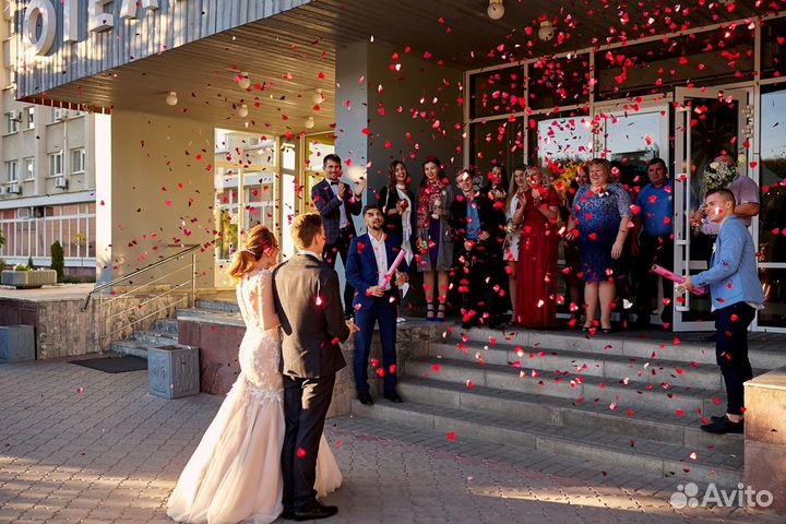 Организатор мероприятий Свадьба День рождения