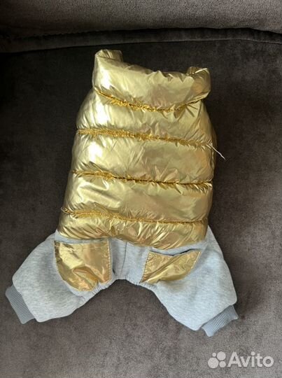 Комбинезон для собачки