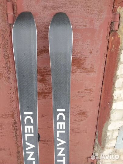 Горные лыжи