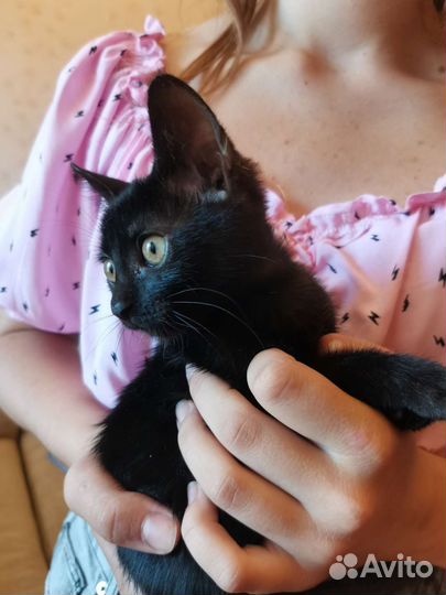 Ночка девочка 2 месяца