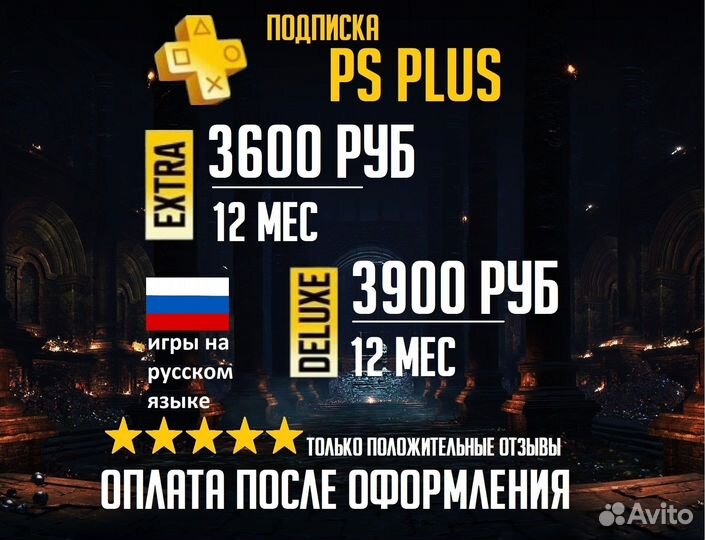 Ps plus Delux 12 месяцев PS798