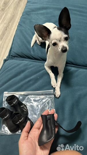 Ботинки для собак