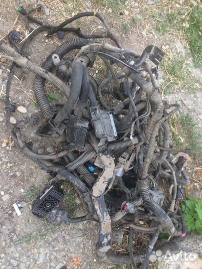 Проводка подкапотная Opel astra j gtc купэ. 1.4 a1