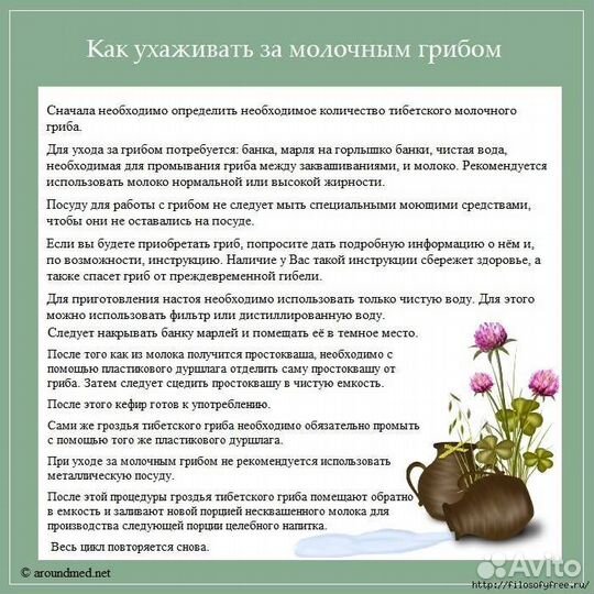 Тибетский молочный кефирный гриб