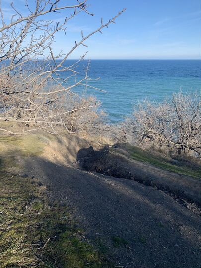 Участок 1,2 га (ИЖС)