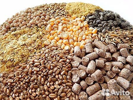 Корма для животных и птиц
