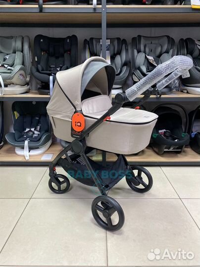 Коляска Anex IQ