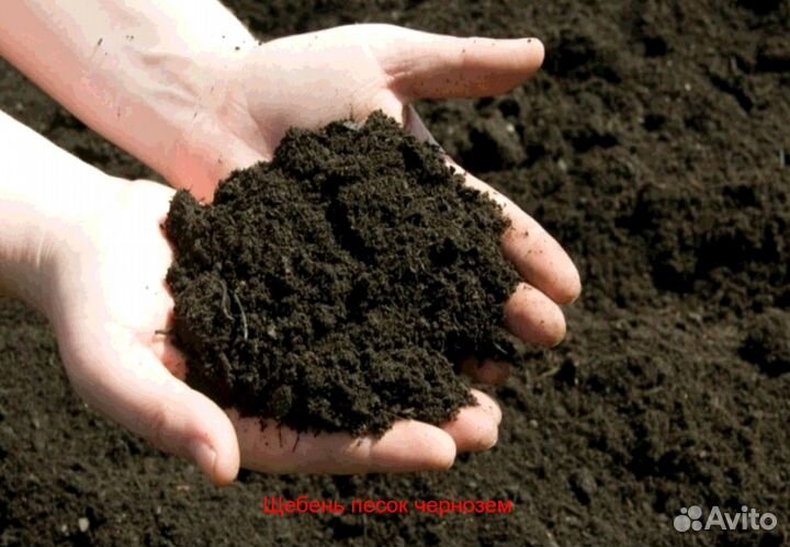 Чернозем торф перегной ЗИЛ камаз
