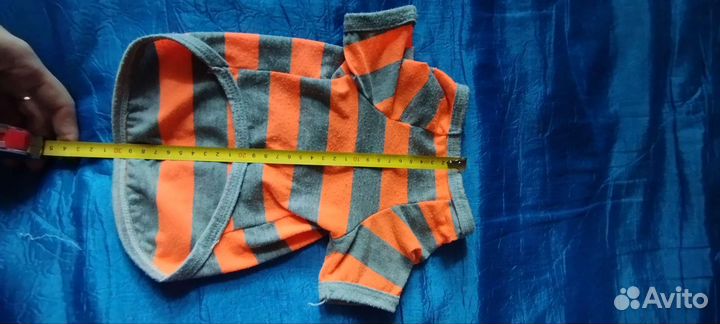 Одежда для собак мелких пород