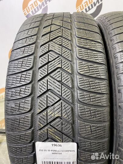 Pirelli Scorpion Winter 255/55 R19