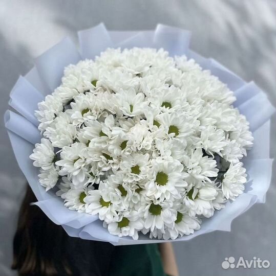 Хризантема Доставка цветов