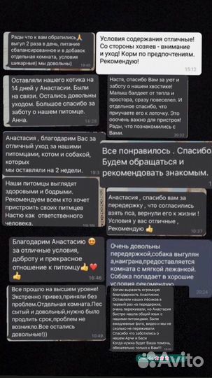 Передержка животных, гостиница для животных)